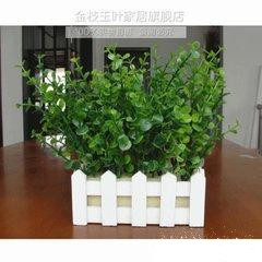 家居風(fēng)水之家養(yǎng)植物